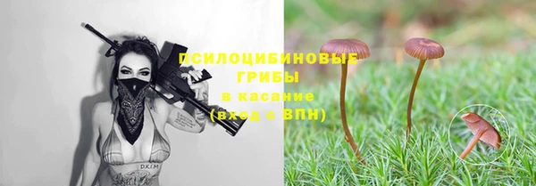 трава Михайловка