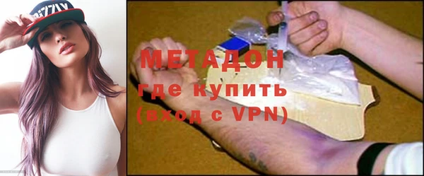 прущие грибы Михайлов