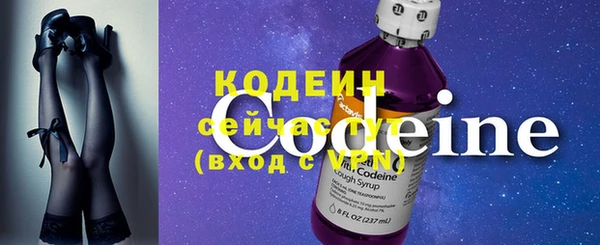 прущие грибы Михайлов