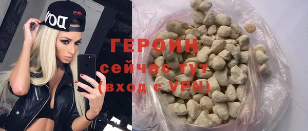 прущие грибы Михайлов