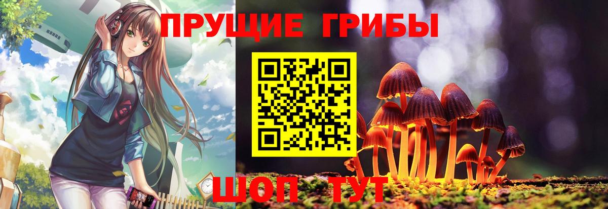 Надым  Псилоцибиновые грибы MAGIC MUSHROOMS  Псилоцибиновые грибы мицелий  Вход с VPN 